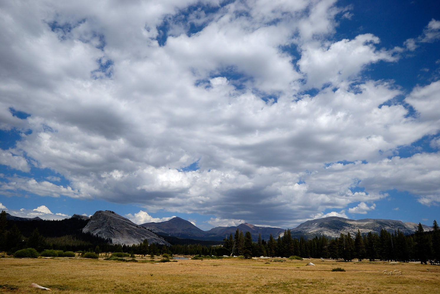Yosemite N.P. - Tuolumne Meadows