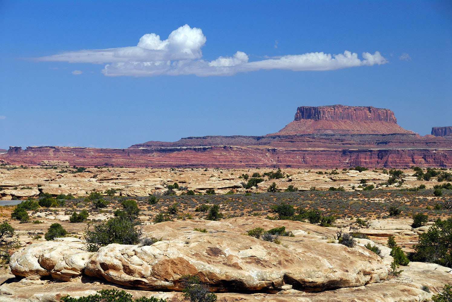 Canyonlands N.P. - The Needles