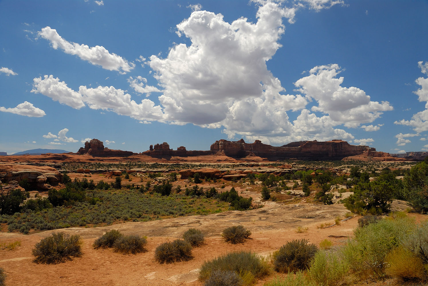 Canyonlands N.P. - The Needles