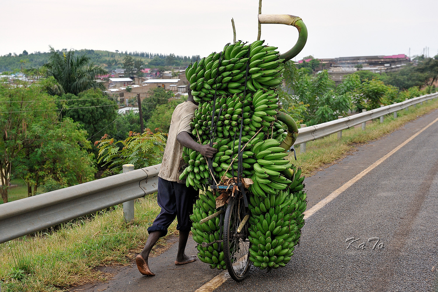 Banana Transport......