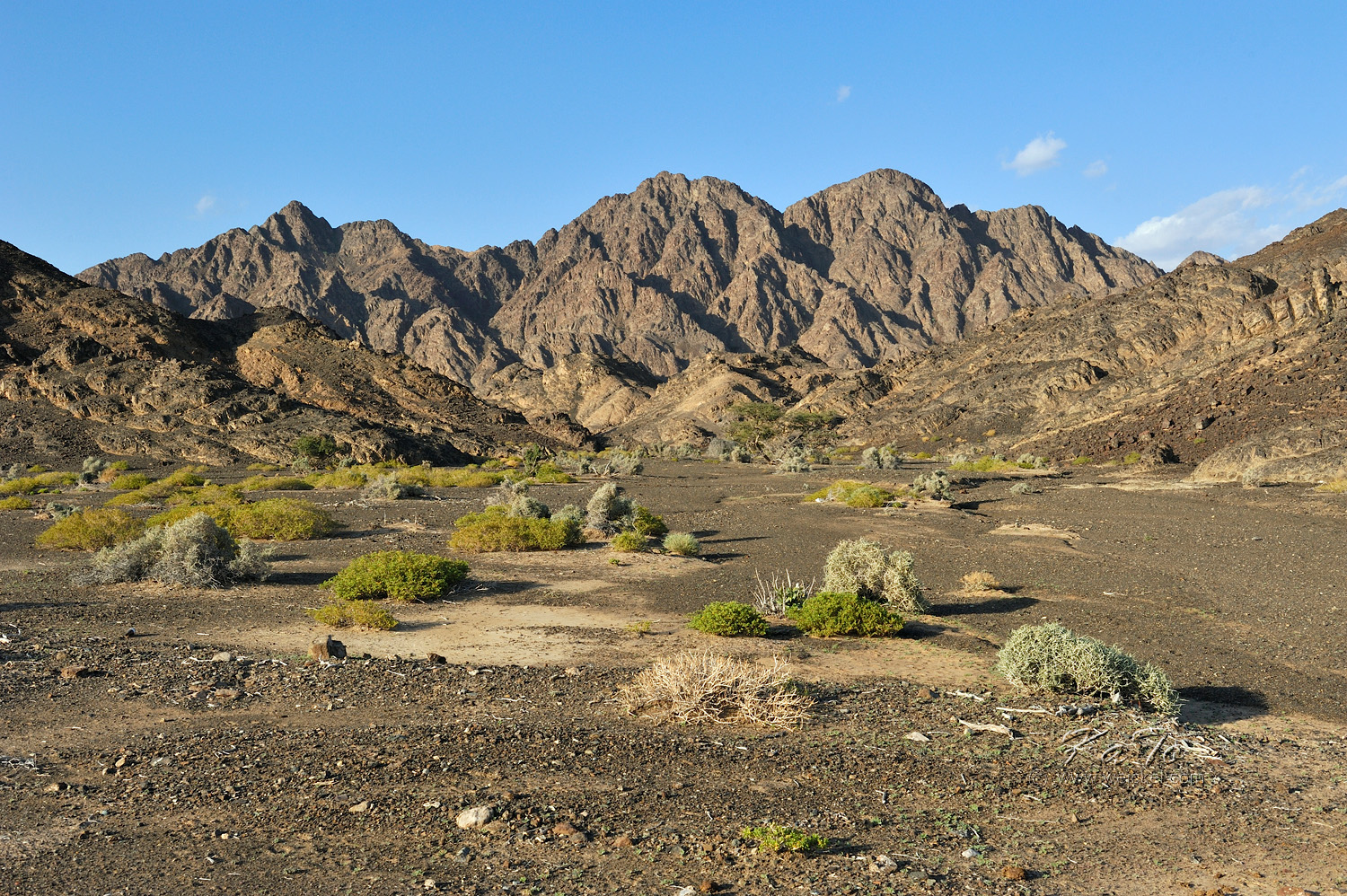 Wadi Al Khabbah