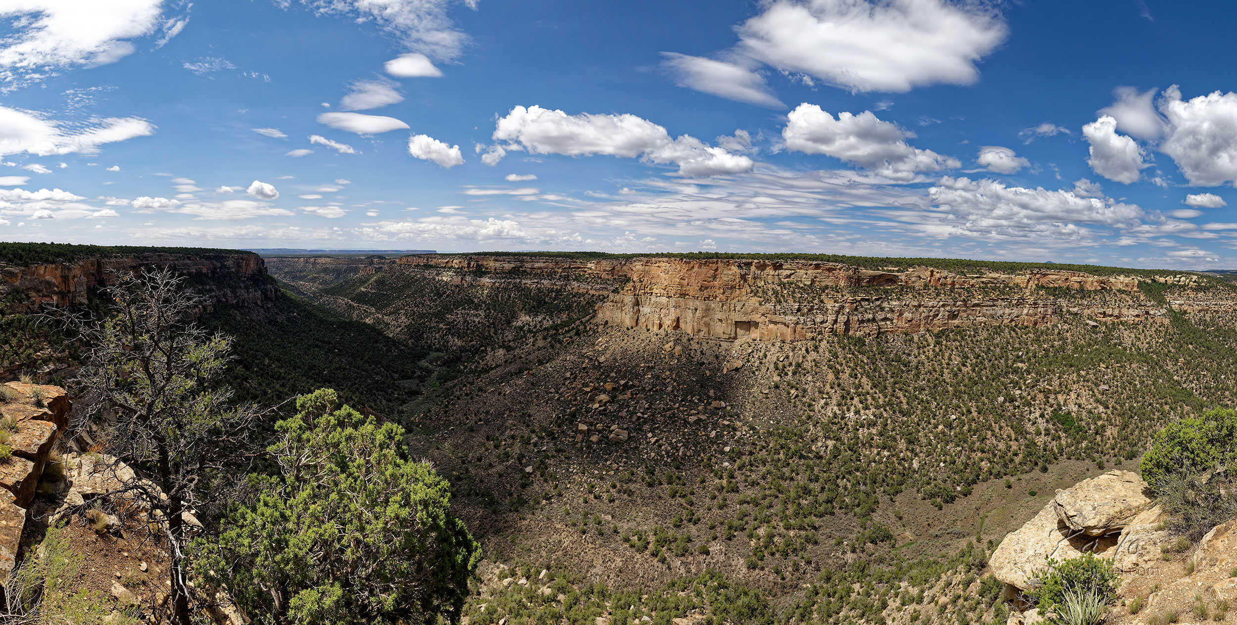 Navajo Canyon (Mesa Verde N.P.)