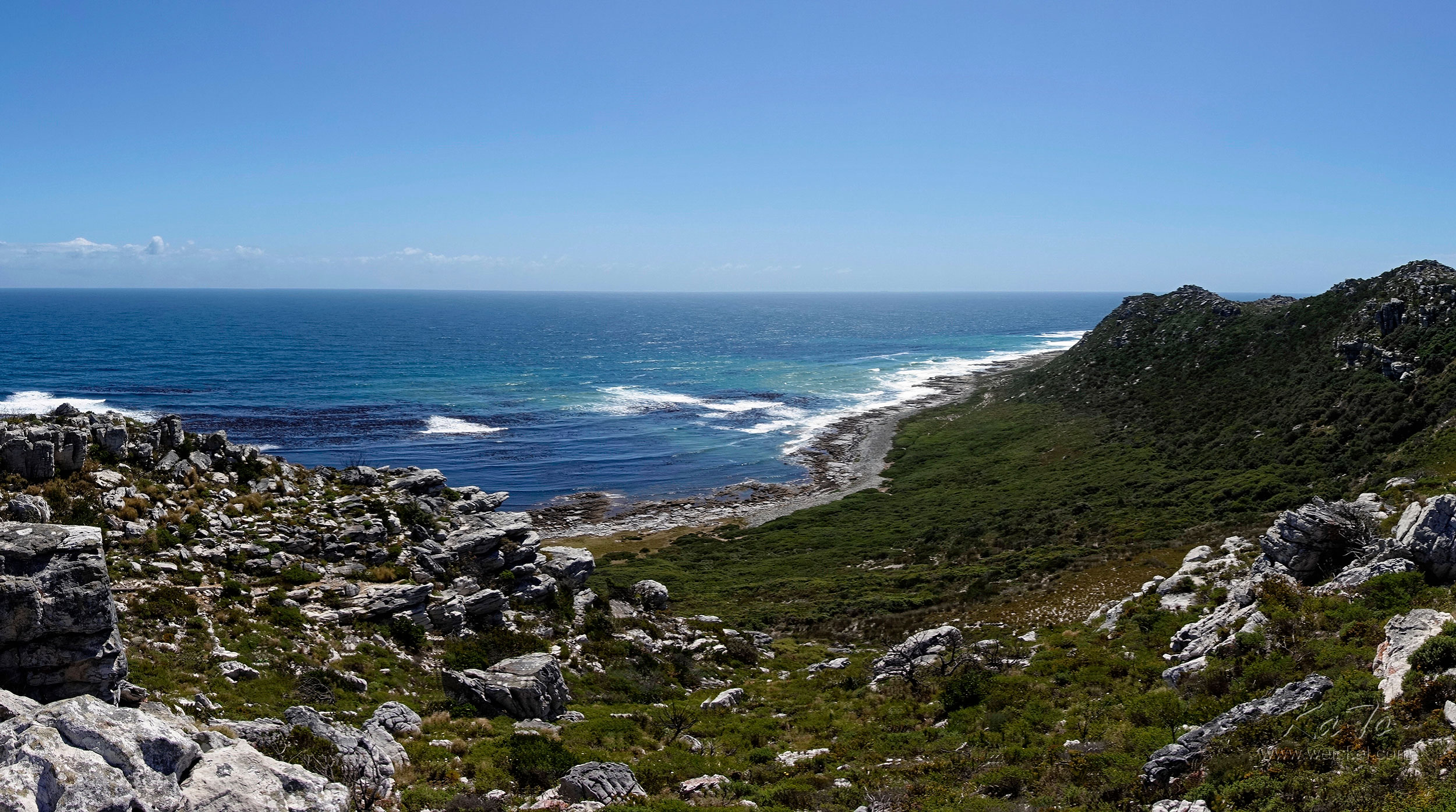 Gifkommetje, Cape Peninsula